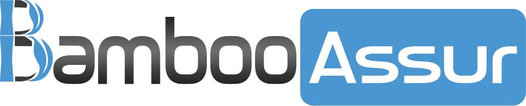 Company name
